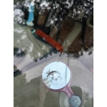 Dịch vụ thay kính và hàn kính ô tô tận nơi