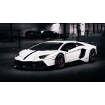 Thay kính xe hạng sang