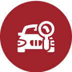 Cố định và kiểm tra